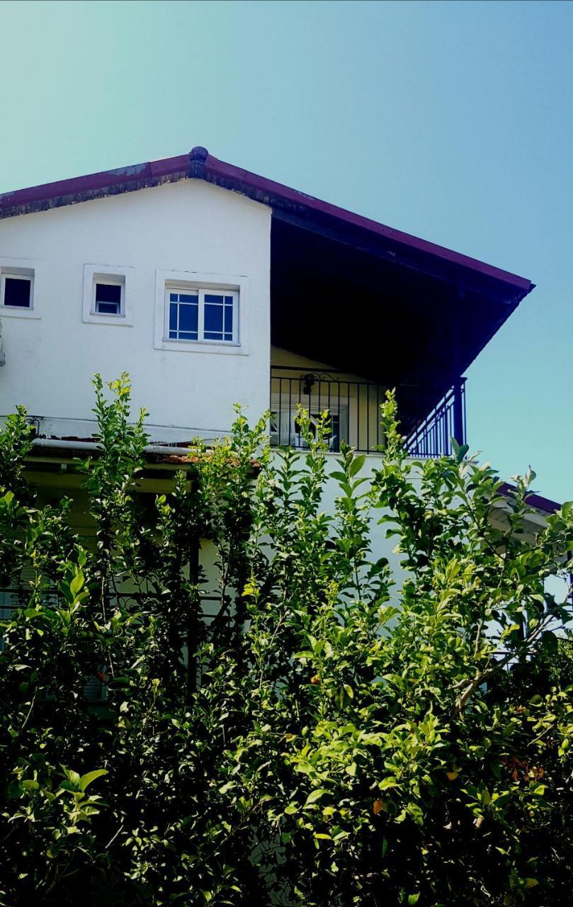 Apollo Hotel Kavos Exterior photo